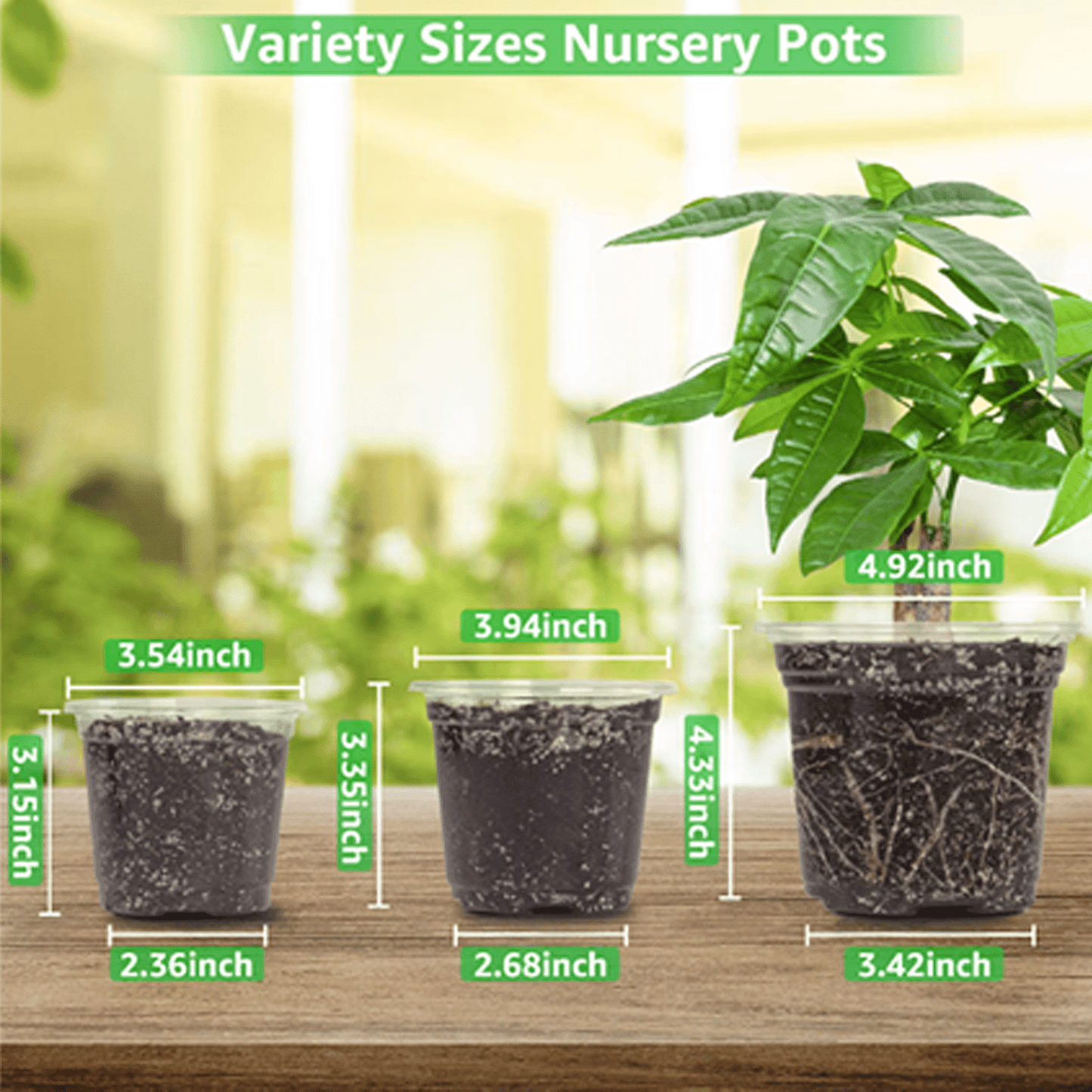 30 TRANSPARENT PLASTIC POTS