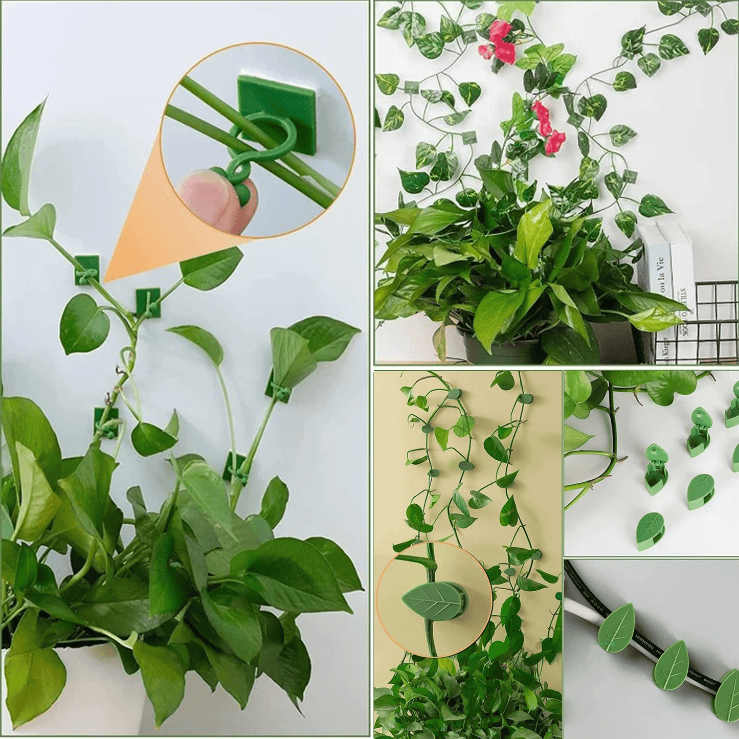 PLANT WALL CLIPS