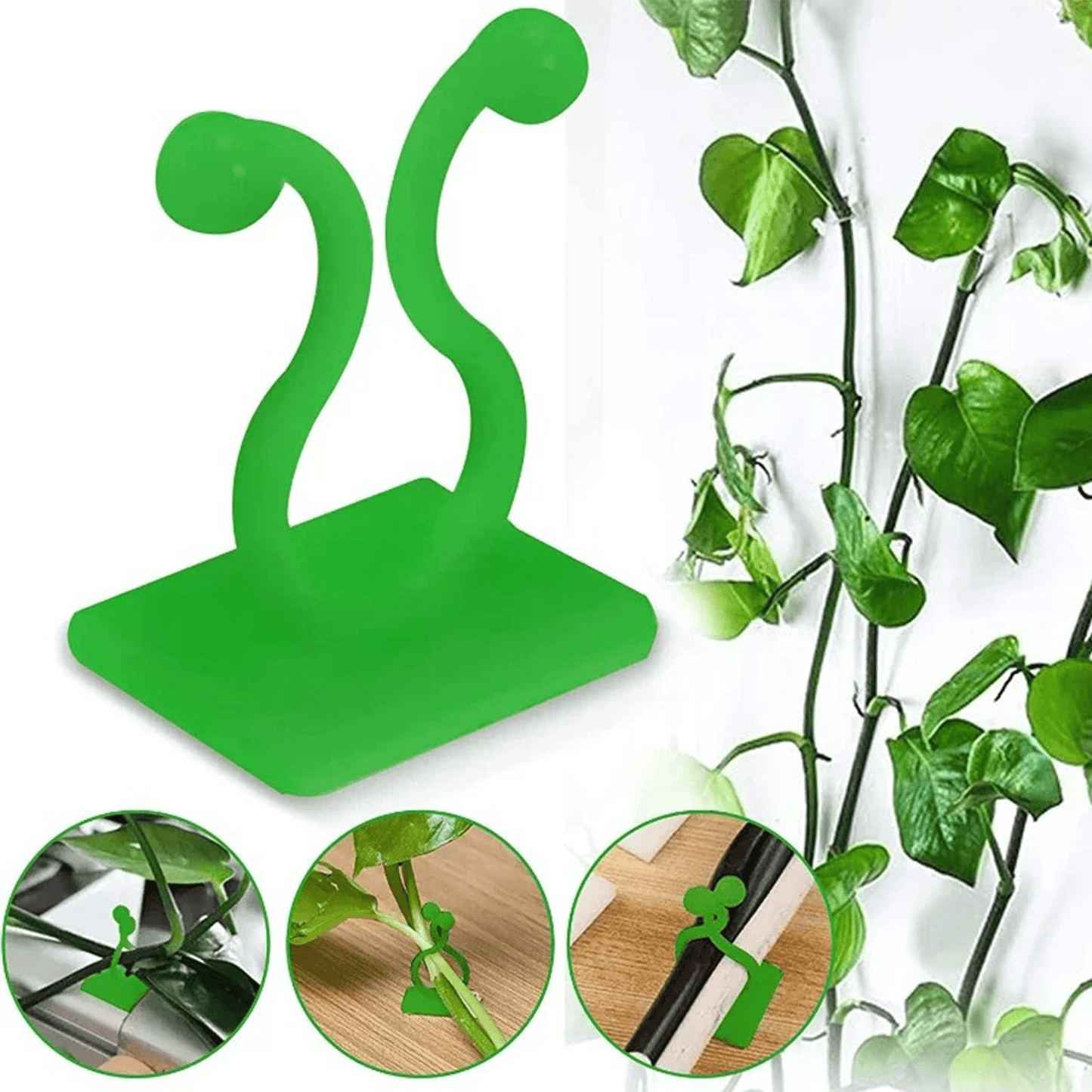 PLANT WALL CLIPS